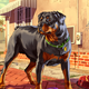 Image for article titled Grand Theft Auto V’s iPhone App Is Like a Gangsta Nintendogs